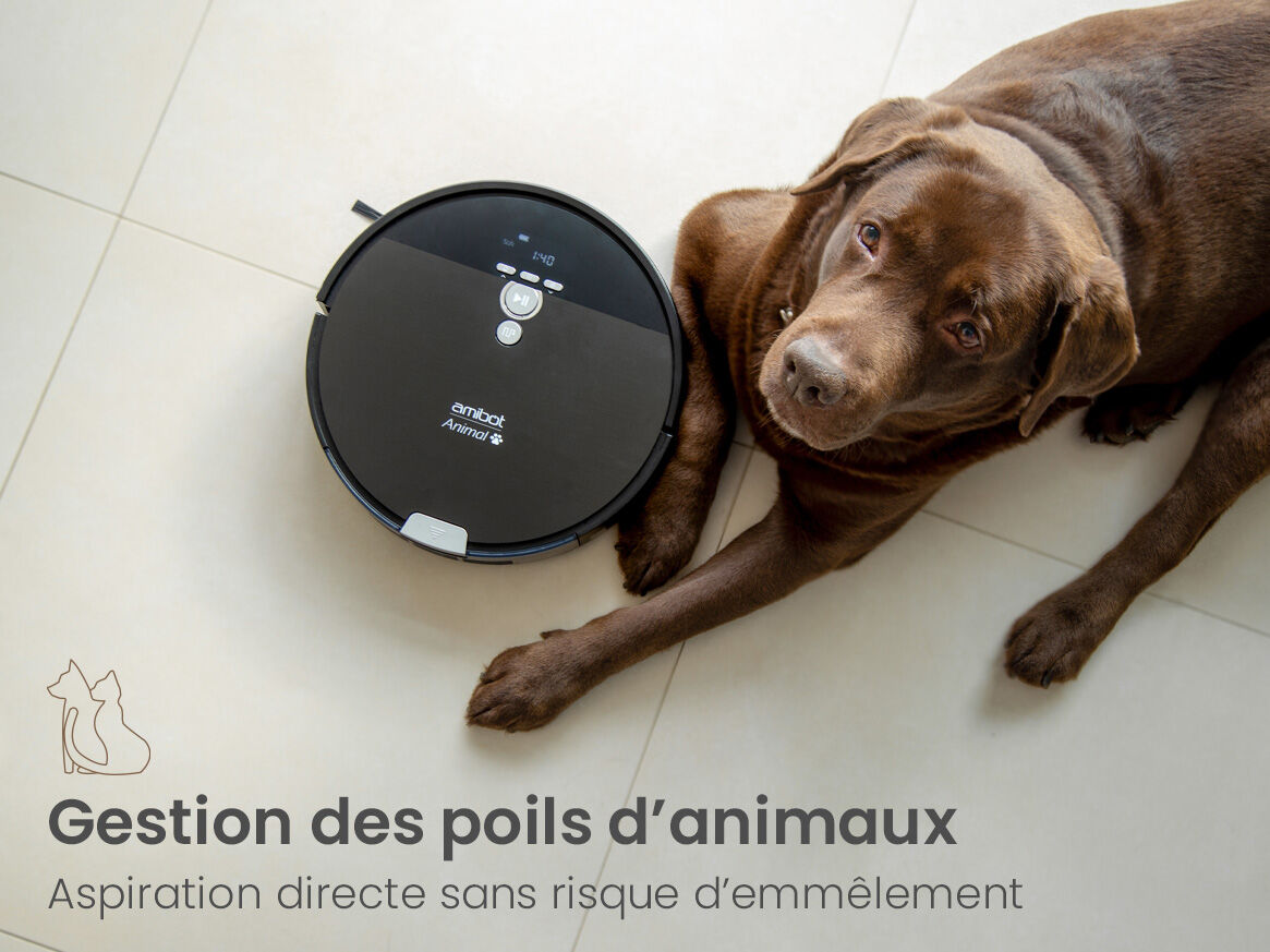 aspirateur amibot animal poils